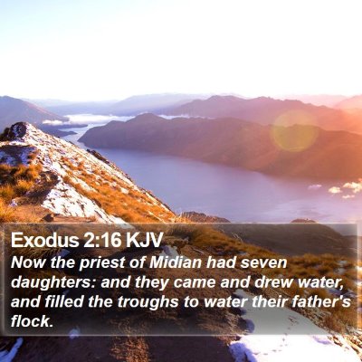 Exodus 2:16 KJV Bible Verse Image