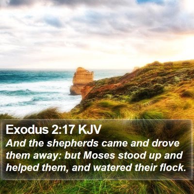 Exodus 2:17 KJV Bible Verse Image