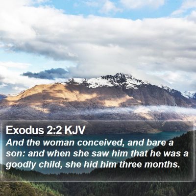 Exodus 2:2 KJV Bible Verse Image