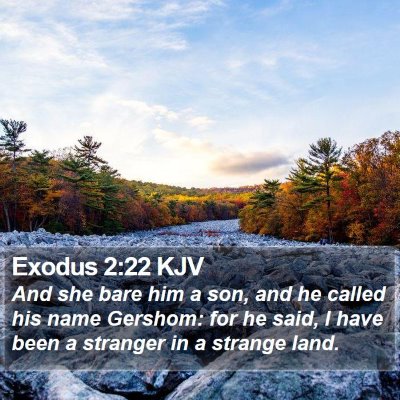 Exodus 2:22 KJV Bible Verse Image