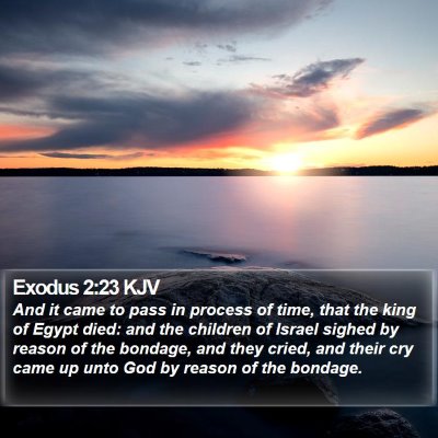 Exodus 2:23 KJV Bible Verse Image
