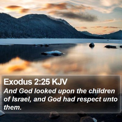 Exodus 2:25 KJV Bible Verse Image