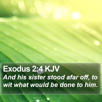 Exodus 2:4 KJV Bible Verse Image
