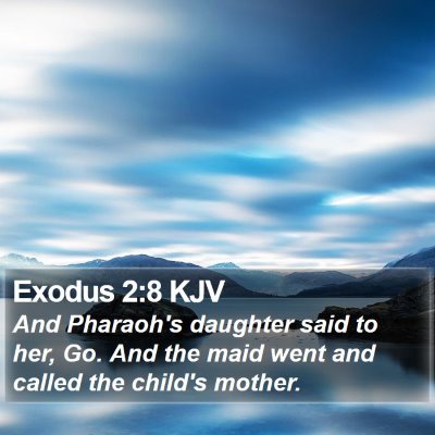 Exodus 2:8 KJV Bible Verse Image
