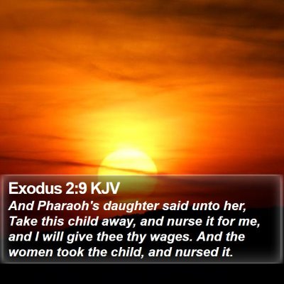 Exodus 2:9 KJV Bible Verse Image
