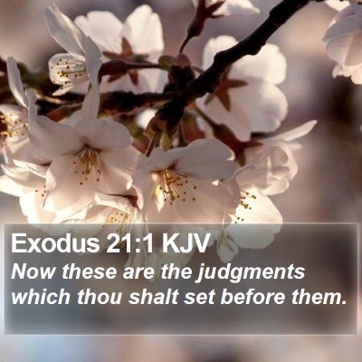 Exodus 21:1 KJV Bible Verse Image