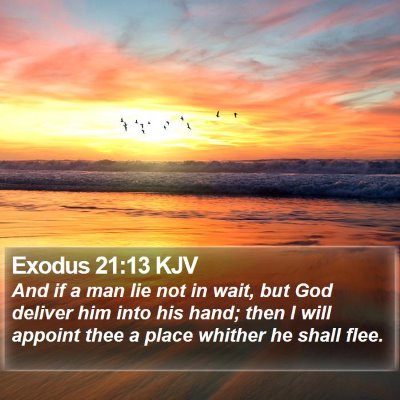Exodus 21:13 KJV Bible Verse Image