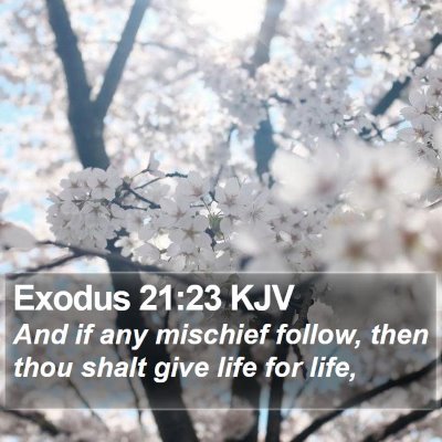Exodus 21:23 KJV Bible Verse Image