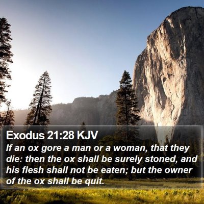 Exodus 21:28 KJV Bible Verse Image