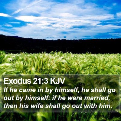 Exodus 21:3 KJV Bible Verse Image