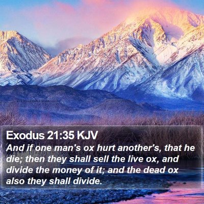 Exodus 21:35 KJV Bible Verse Image