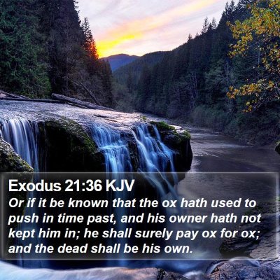Exodus 21:36 KJV Bible Verse Image
