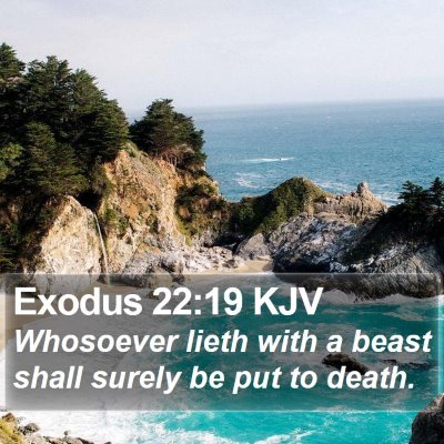 Exodus 22:19 KJV Bible Verse Image