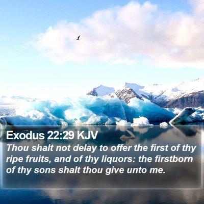 Exodus 22:29 KJV Bible Verse Image