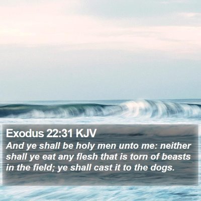 Exodus 22:31 KJV Bible Verse Image