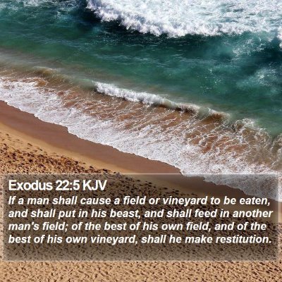 Exodus 22:5 KJV Bible Verse Image