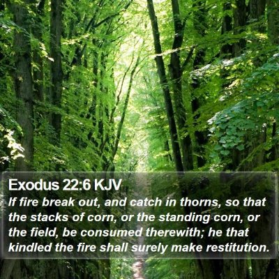 Exodus 22:6 KJV Bible Verse Image