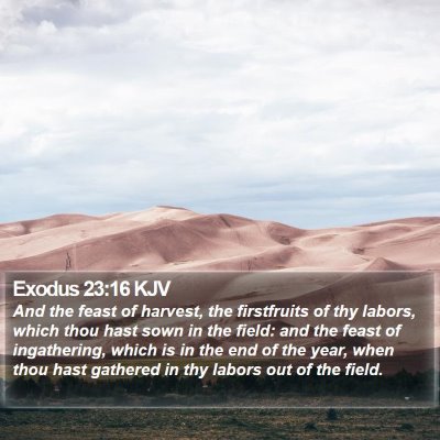Exodus 23:16 KJV Bible Verse Image