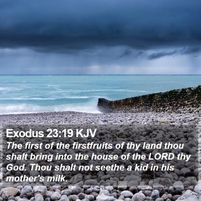 Exodus 23:19 KJV Bible Verse Image