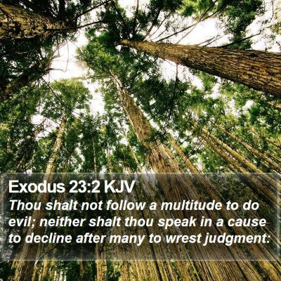 Exodus 23:2 KJV Bible Verse Image