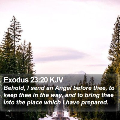 Exodus 23:20 KJV Bible Verse Image