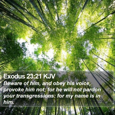 Exodus 23:21 KJV Bible Verse Image
