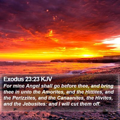 Exodus 23:23 KJV Bible Verse Image