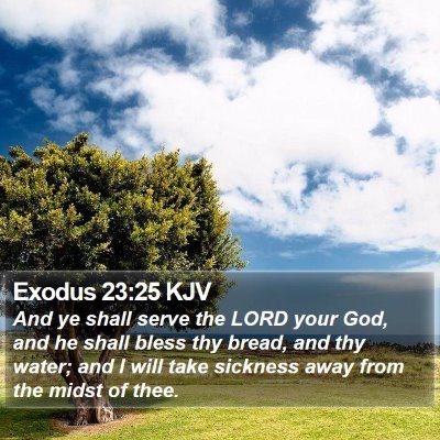 Exodus 23:25 KJV Bible Verse Image