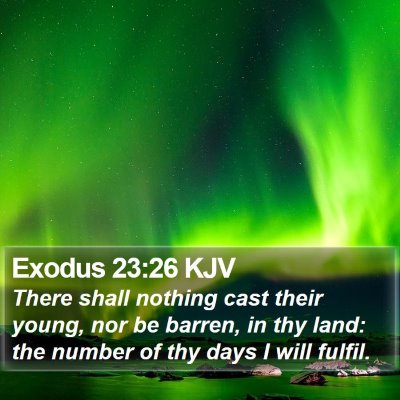 Exodus 23:26 KJV Bible Verse Image