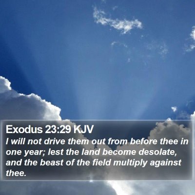Exodus 23:29 KJV Bible Verse Image
