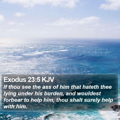 Exodus 23:5 KJV Bible Verse Image