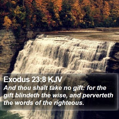 Exodus 23:8 KJV Bible Verse Image