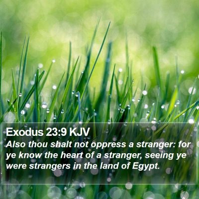 Exodus 23:9 KJV Bible Verse Image