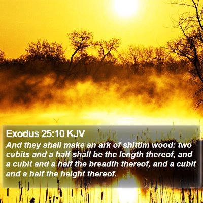 Exodus 25:10 KJV Bible Verse Image