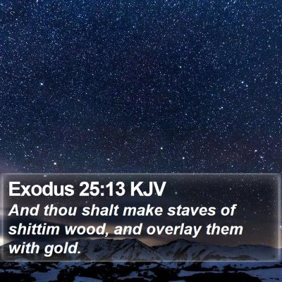 Exodus 25:13 KJV Bible Verse Image