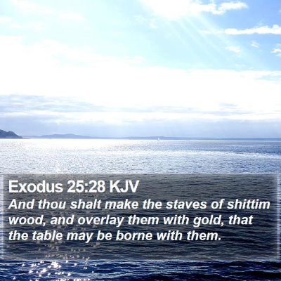 Exodus 25:28 KJV Bible Verse Image