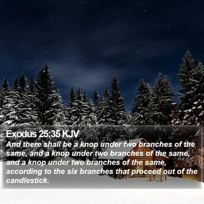 Exodus 25:35 KJV Bible Verse Image