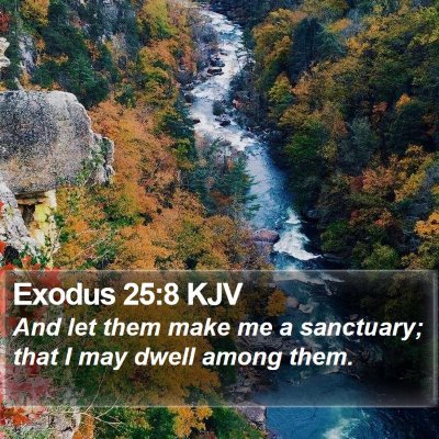 Exodus 25:8 KJV Bible Verse Image