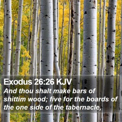 Exodus 26:26 KJV Bible Verse Image
