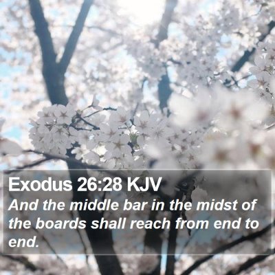 Exodus 26:28 KJV Bible Verse Image
