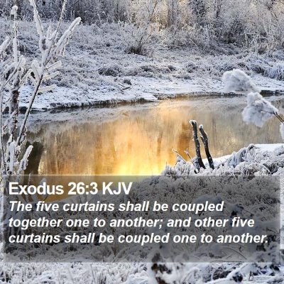 Exodus 26:3 KJV Bible Verse Image
