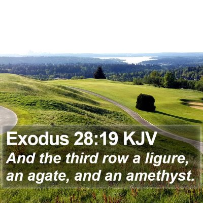 Exodus 28:19 KJV Bible Verse Image