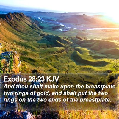 Exodus 28:23 KJV Bible Verse Image