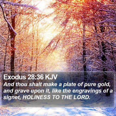 Exodus 28:36 KJV Bible Verse Image