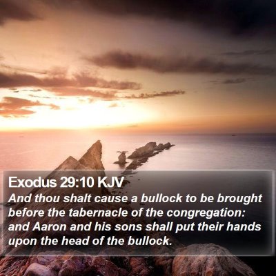Exodus 29:10 KJV Bible Verse Image