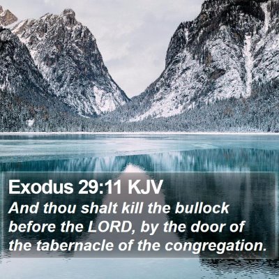 Exodus 29:11 KJV Bible Verse Image