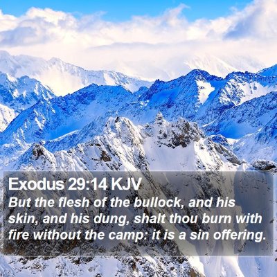 Exodus 29:14 KJV Bible Verse Image