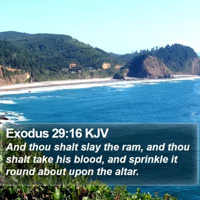 Exodus 29:16 KJV Bible Verse Image