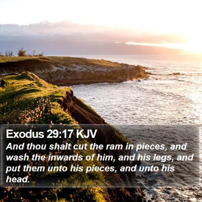 Exodus 29:17 KJV Bible Verse Image