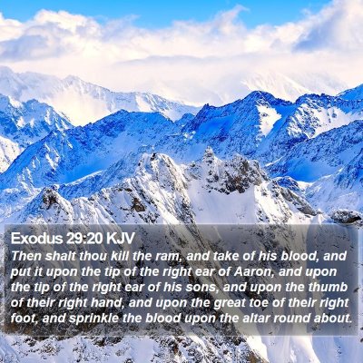 Exodus 29:20 KJV Bible Verse Image